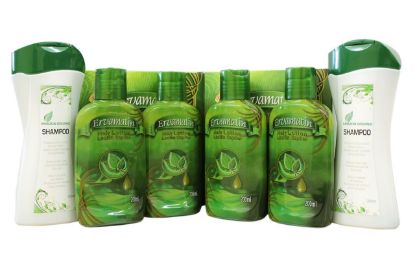 Picture of Ervamatin Hair Growth Lotion + Amazon Organic Shampoo