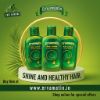 Picture of Ervamatin Hair Lotion – Pack of 3 | FREE Shipping India